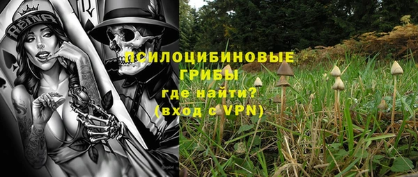 COCAINE Новодвинск