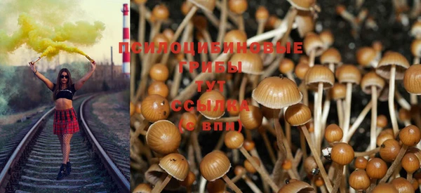 spice Нея